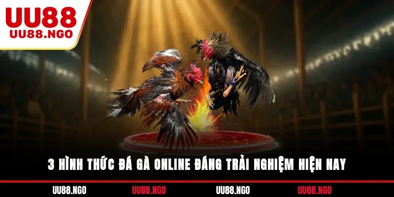 3 hình thức đá gà online đáng trải nghiệm hiện nay
