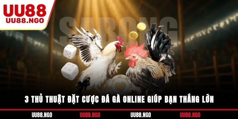3 thủ thuật đặt cược đá gà online giúp bạn thắng lớn