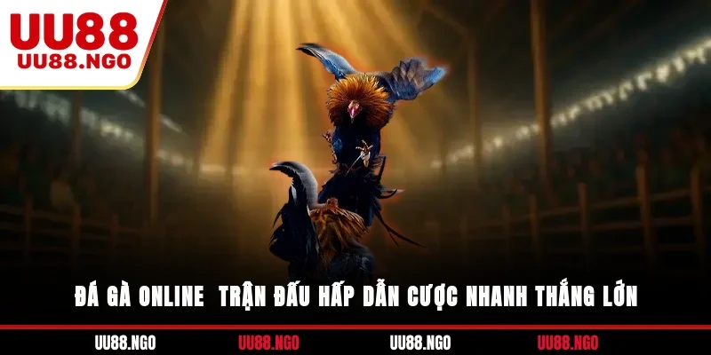 Đá Gà Online - Trận Đấu Hấp Dẫn, Cược Nhanh Thắng Lớn