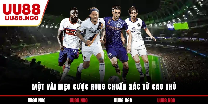 Một vài mẹo cược rung chuẩn xác từ cao thủ