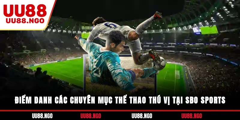 Điểm danh các chuyên mục thể thao thú vị tại SBO Sports